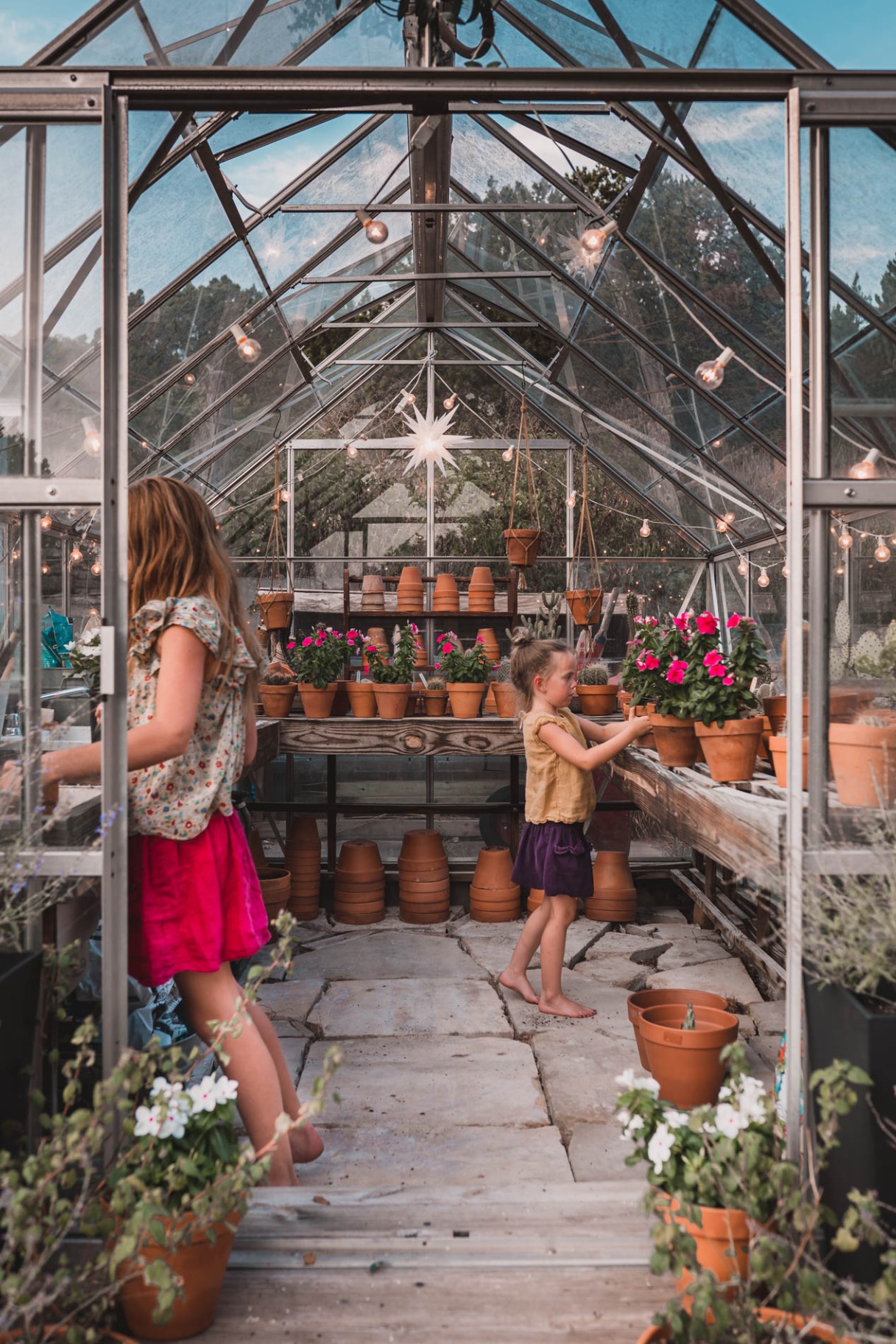 Forcing Bulbs