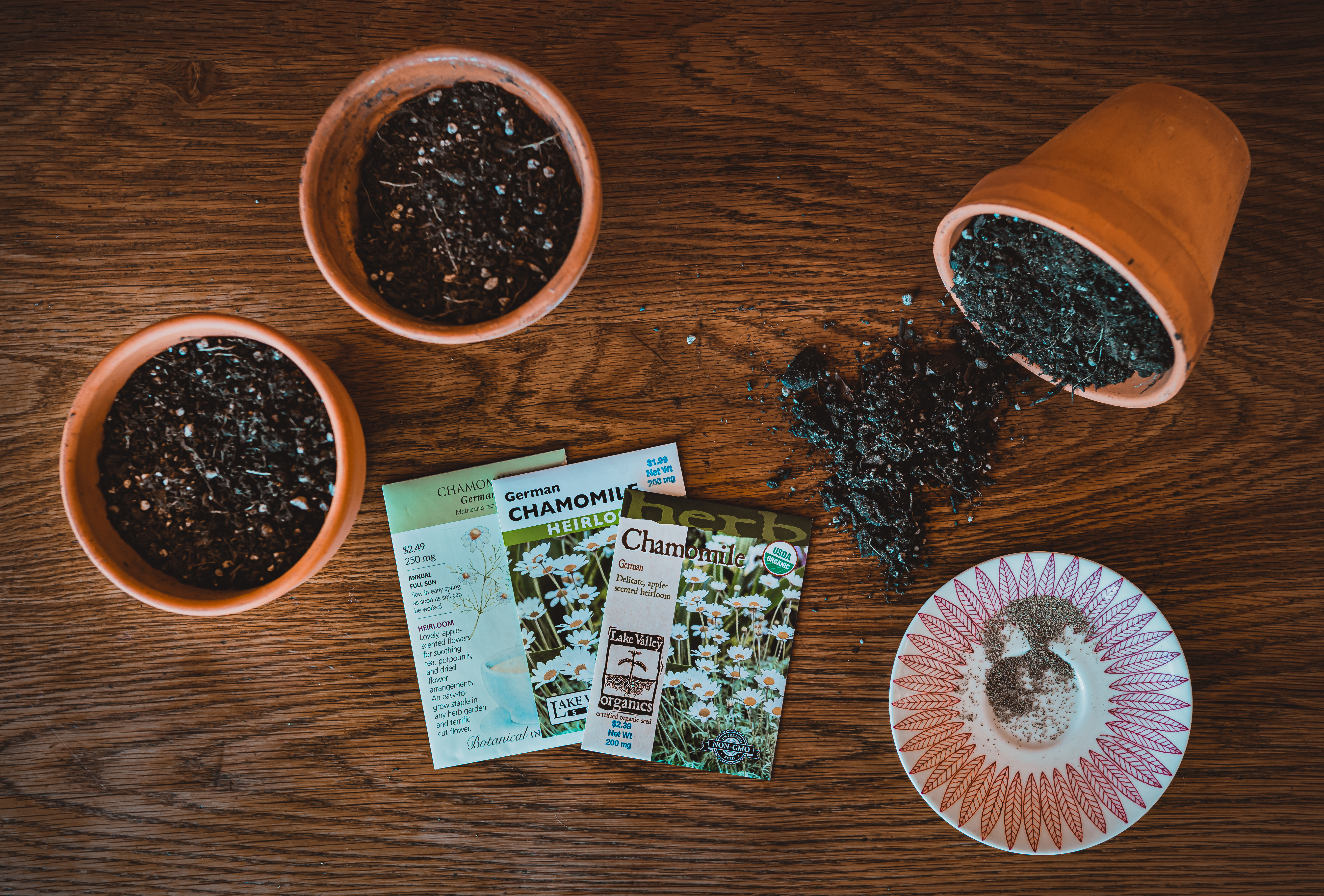 From Seed to Cup of Tea