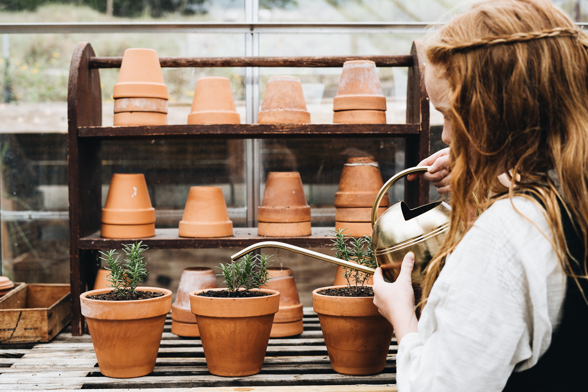Potted Herb Garden