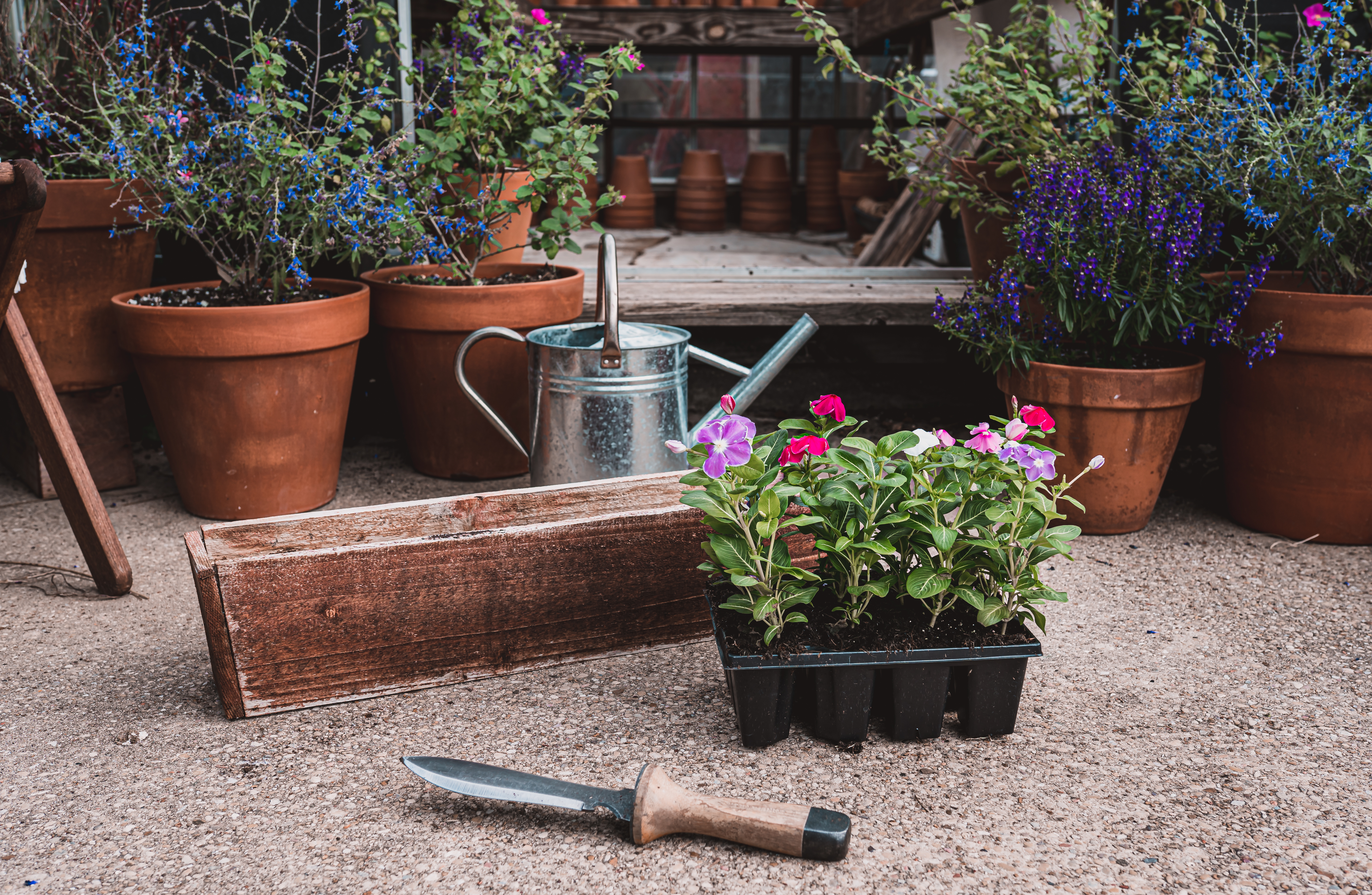 Window Flower Boxes